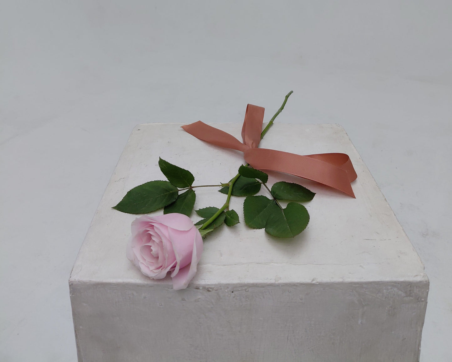 Love Note - Single Rose