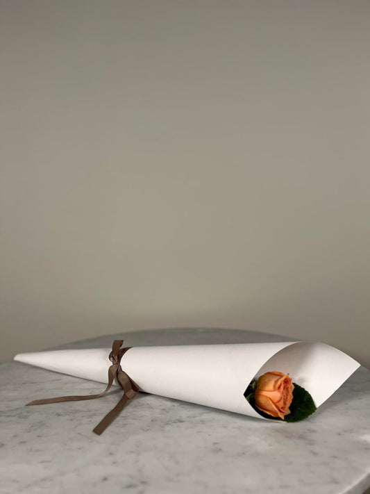 Orange Romance Roses