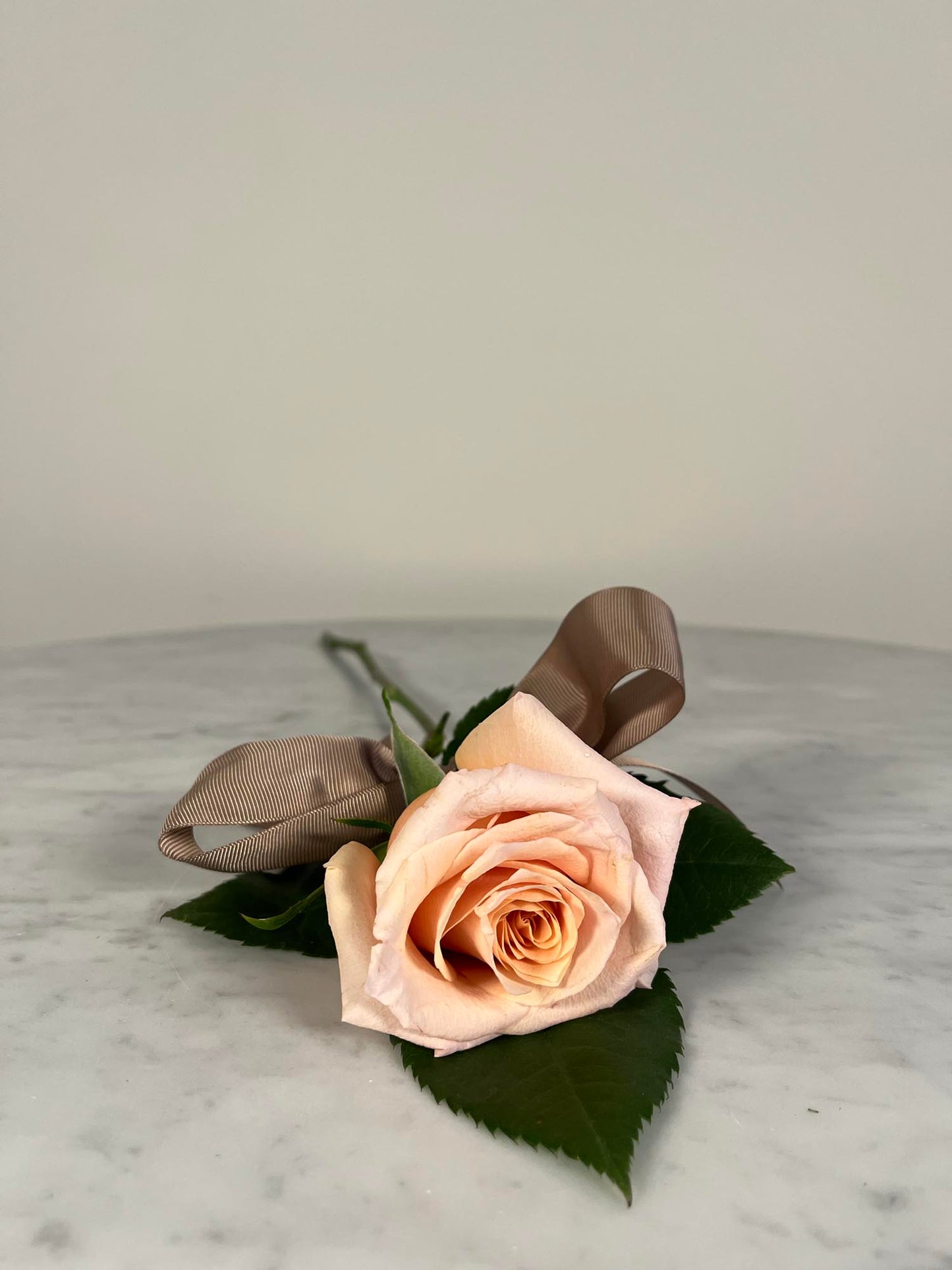 Orange Romance Roses