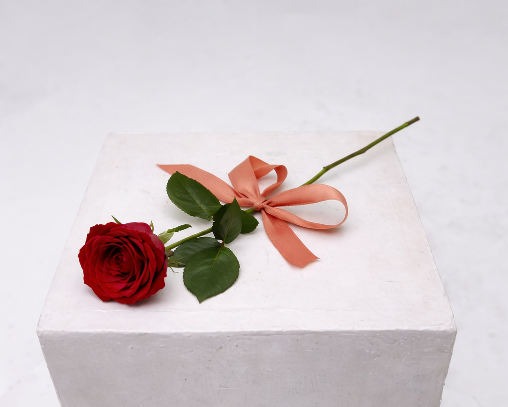 Love Note - Single Rose