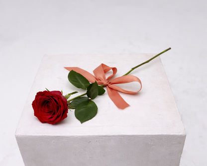 Love Note - Single Rose