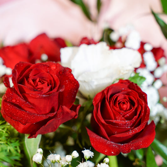 A close-up of a flower bouquet featuring two prominent red roses with water droplets, white flowers, and green foliage, with a soft pink background.