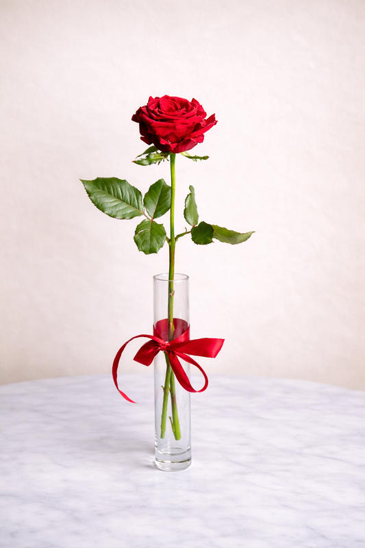 The One Single Rose in Vase