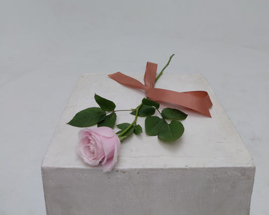 Love Note - Single Rose