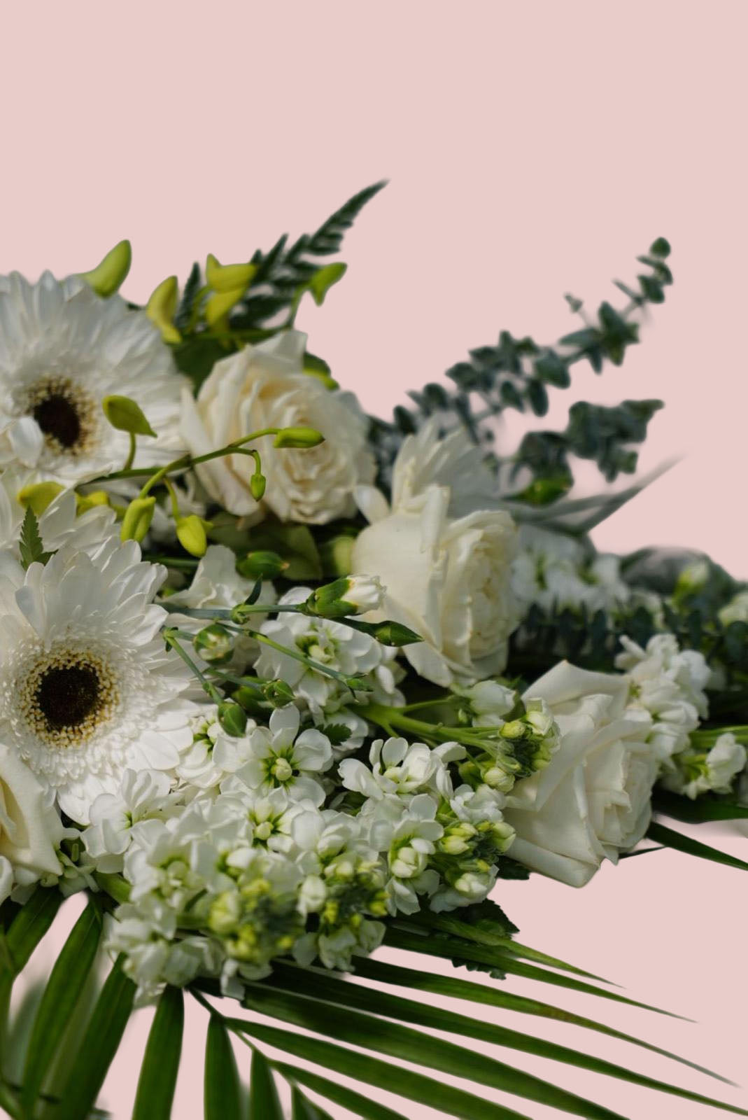 A close-up floral arrangement featuring white gerbera daisies, white roses, small white blossoms, green foliage, and palm leaves against a solid pale pink background.