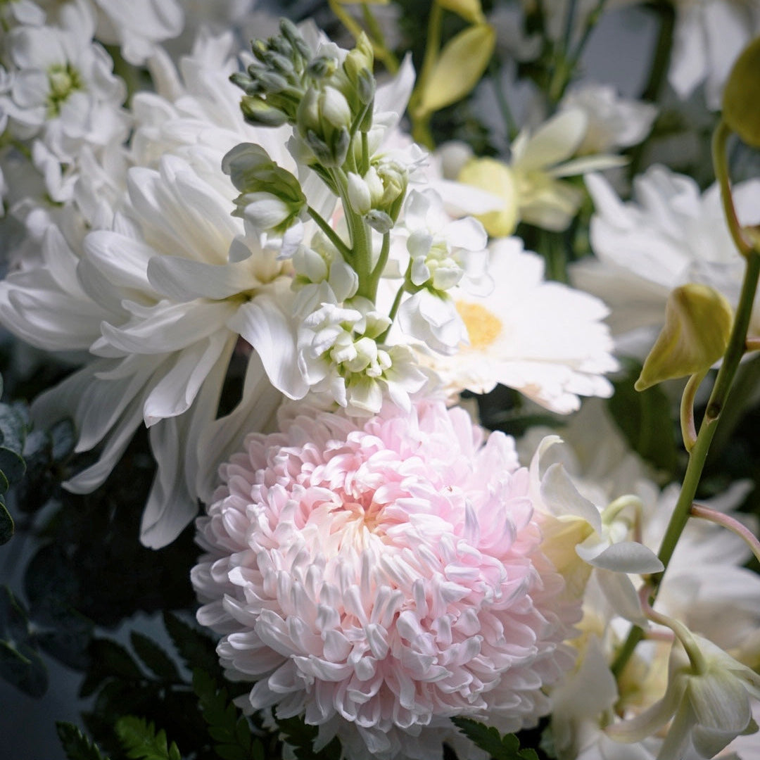 Close-up of a bouquet with white and pink flowers and green leaves.