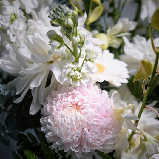 Close-up of a bouquet with white and pink flowers and green leaves.