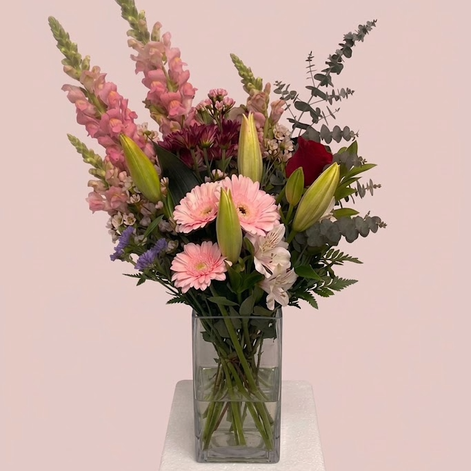 A floral arrangement in a clear square glass vase, featuring pink snapdragons, pink and white gerbera daisies, a red rose, green lily buds, and eucalyptus stems, set against a solid pale pink background.