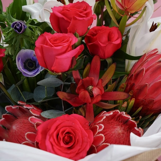 A vibrant floral bouquet featuring bright red roses, red protea flowers, white lilies, a purple anemone, and green foliage, arranged in white paper wrapping.