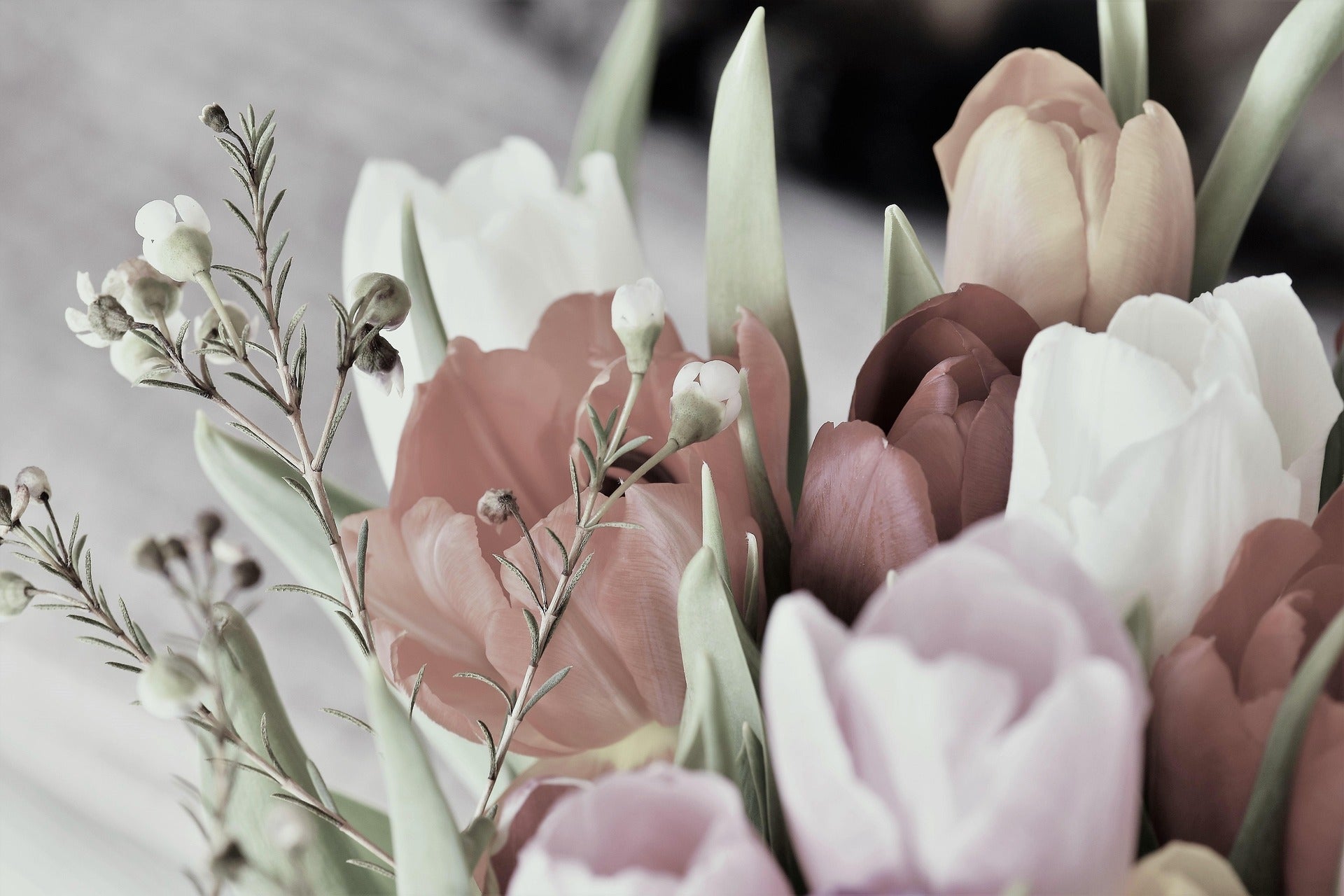 Close-up of a bouquet of flowers with pink, white, and brown tones.